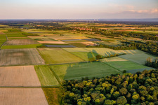 Enregistrement par drone de Quartier Mühlhofen in Billigheim-Ingenheim dans le département Rhénanie-Palatinat, Allemagne