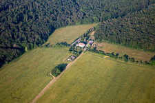 Vue aérienne de Arbuste Ludwig à le quartier Grillenberg in Sangerhausen dans le département Saxe-Anhalt, Allemagne