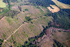Vue aérienne de Vestiges de la forêt de scolytes et reboisement à le quartier Schielo in Harzgerode dans le département Saxe-Anhalt, Allemagne