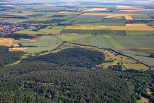 Vue aérienne de Golf Club Schloss Meisdorf eV à le quartier Meisdorf in Falkenstein dans le département Saxe-Anhalt, Allemagne
