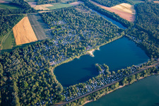 Vue aérienne de Camping Waldsee « Sur l'Au » à Waldsee dans le département Rhénanie-Palatinat, Allemagne
