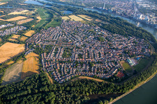 Vue aérienne de Alta Ripa dans la boucle du Rhin à Altrip dans le département Rhénanie-Palatinat, Allemagne