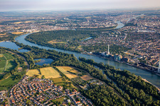 Vue aérienne de Parc forestier dans la boucle du Rhin à le quartier Niederfeld in Mannheim dans le département Bade-Wurtemberg, Allemagne