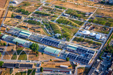 Vue aérienne de U-Halle au parc Spinelli du Salon fédéral des jardins Mannheim BUGA 2023 à le quartier Feudenheim in Mannheim dans le département Bade-Wurtemberg, Allemagne