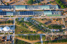 Vue aérienne de Champ expérimental derrière la scène principale du parc Spinelli au Salon fédéral des jardins (BUGA) 2023 à le quartier Feudenheim in Mannheim dans le département Bade-Wurtemberg, Allemagne