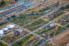 Vue aérienne de Champ expérimental du parc Spinelli au Salon fédéral des jardins (BUGA) 2023 à le quartier Feudenheim in Mannheim dans le département Bade-Wurtemberg, Allemagne