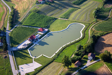 Vue aérienne de Domaine viticole avec étang privé à Ormož dans le département Slovénie, Slovénie