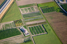 Vue aérienne de Champs de légumes à Ptuj dans le département Slovénie, Slovénie