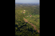 Vue aérienne de Église de Župnijska cerkev sv. Marije Vnebovzete et Café Huda Liza au-dessus des vignobles du Vurberg à Duplek dans le département Slovénie, Slovénie