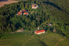 Église de Župnijska cerkev sv. Marije Vnebovzete et Café Huda Liza sur le Vurberg à Duplek dans le département Slovénie, Slovénie d'en haut