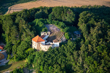 Vue aérienne de Scène en plein air Hči najstarejše vinske trte na svetu sur le Vurberg à Duplek dans le département Slovénie, Slovénie