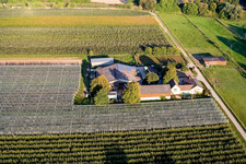 Vue aérienne de Lindenhof : Ferme de fruits et d'asperges de Gensheimer à Steinweiler dans le département Rhénanie-Palatinat, Allemagne