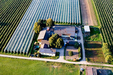 Lindenhof : ferme fruitière et asperge de Gensheim à Steinweiler dans le département Rhénanie-Palatinat, Allemagne d'en haut