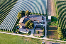 Lindenhof : ferme fruitière et asperge de Gensheim à Steinweiler dans le département Rhénanie-Palatinat, Allemagne hors des airs
