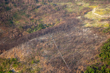 Vue aérienne de Après l'incendie de forêt à Miren-Kostanjevica dans le département Slovénie, Slovénie