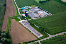 Vue aérienne de Élevage avec installation de biogaz à Trimbach dans le département Bas Rhin, France