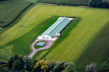 Vue aérienne de Nouvelle aviculture à Trimbach dans le département Bas Rhin, France