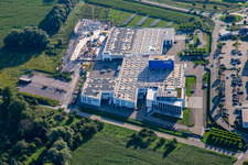 Vue aérienne de Groupe Zimmer Am Glockenloch à le quartier Freistett in Rheinau dans le département Bade-Wurtemberg, Allemagne