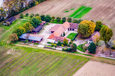 Vue aérienne de Ludwigsau sur le Rhin à le quartier Maximiliansau in Wörth am Rhein dans le département Rhénanie-Palatinat, Allemagne
