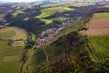 Photographie aérienne de Raumbach dans le département Rhénanie-Palatinat, Allemagne