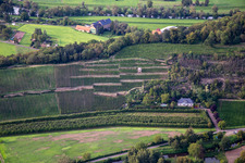 Vue aérienne de Domaine viticole Disibodenberg KG à le quartier Odernheim in Odernheim am Glan dans le département Rhénanie-Palatinat, Allemagne