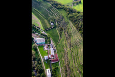 Photographie aérienne de CJD Wolfstein, succursale Niedermühle et cave Klostermühle Odernheim KG à le quartier Odernheim in Odernheim am Glan dans le département Rhénanie-Palatinat, Allemagne