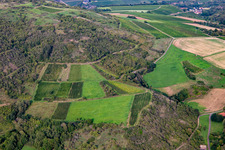 Vue aérienne de Restwingert sur le Gangelsberg à Duchroth dans le département Rhénanie-Palatinat, Allemagne