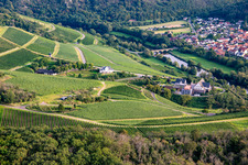 Vue aérienne de Hôtel Gut Hermannsberg et gestion du domaine Niederhausen Schlossböckelheim à Niederhausen dans le département Rhénanie-Palatinat, Allemagne
