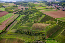Vue aérienne de Casquette Kriler à Rüdesheim dans le département Rhénanie-Palatinat, Allemagne