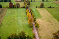 Vue aérienne de Vallée d'Otterbachtal à Minfeld dans le département Rhénanie-Palatinat, Allemagne