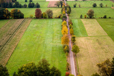 Vue aérienne de Vallée d'Otterbachtal à Minfeld dans le département Rhénanie-Palatinat, Allemagne