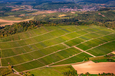 Vue aérienne de Vignoble de Wunnenstein à le quartier Winzerhausen in Großbottwar dans le département Bade-Wurtemberg, Allemagne