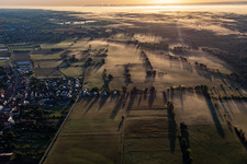 Vue aérienne de Ligne de bétail dans la brume matinale à Schweighofen dans le département Rhénanie-Palatinat, Allemagne