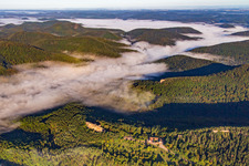 Photographie aérienne de Château Fort de Fleckenstein à Lembach dans le département Bas Rhin, France