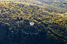 Promenade des Cîmes en Alsace à Cleebourg dans le département Bas Rhin, France d'en haut