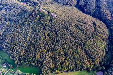 Vue aérienne de Château de Drachenfels à Busenberg dans le département Rhénanie-Palatinat, Allemagne