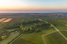 Barbelroth dans le département Rhénanie-Palatinat, Allemagne vue d'en haut