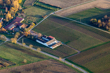 Vue aérienne de Le bar à vin Knauf à Göcklingen dans le département Rhénanie-Palatinat, Allemagne