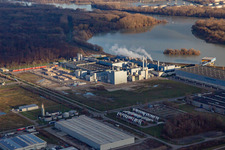 Vue aérienne de Usine de papier de palmier du nord-ouest à Wörth am Rhein dans le département Rhénanie-Palatinat, Allemagne