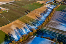 Vue aérienne de Structures de terrain et ombres en hiver avec de la neige à Dierbachtal à Minfeld dans le département Rhénanie-Palatinat, Allemagne