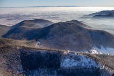 Vue aérienne de Burgunie Neuscharfeneck du nord en hiver avec de la neige à Burrweiler dans le département Rhénanie-Palatinat, Allemagne