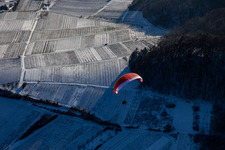Vue d'oiseau de Leinsweiler dans le département Rhénanie-Palatinat, Allemagne