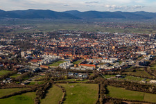 Vue aérienne de Quartier résidentiel sur le site de l'ancien salon horticole d'État sur la Siebenpfeiffer-Allee à Landau in der Pfalz dans le département Rhénanie-Palatinat, Allemagne