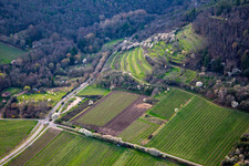 Vue aérienne de Kalmithöhenstrasse avec arbres en fleurs au printemps à Maikammer dans le département Rhénanie-Palatinat, Allemagne