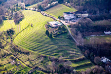 Vue aérienne de Hôtel Arens à 327m d'altitude à le quartier SaintMartin in Sankt Martin dans le département Rhénanie-Palatinat, Allemagne
