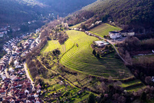 Vue aérienne de Hôtel Arens à 327m d'altitude à le quartier SaintMartin in Sankt Martin dans le département Rhénanie-Palatinat, Allemagne
