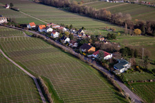 Vue aérienne de Règlement sur Klosterstr à Edenkoben dans le département Rhénanie-Palatinat, Allemagne