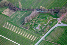 Vue aérienne de Climat ARBORETUM au printemps à Flemlingen dans le département Rhénanie-Palatinat, Allemagne