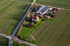 Vue aérienne de Villa Hochdörffer - domaine viticole et maison d'hôtes à le quartier Nußdorf in Landau in der Pfalz dans le département Rhénanie-Palatinat, Allemagne