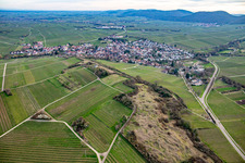 Vue aérienne de Réserve naturelle de Kleine Kalmit au printemps à le quartier Arzheim in Landau in der Pfalz dans le département Rhénanie-Palatinat, Allemagne
